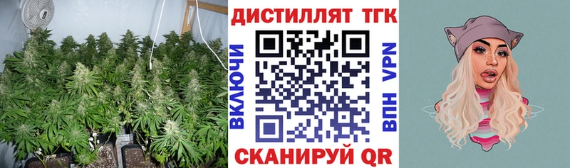 blacksprut ссылки  Темрюк  Дистиллят ТГК THC oil 