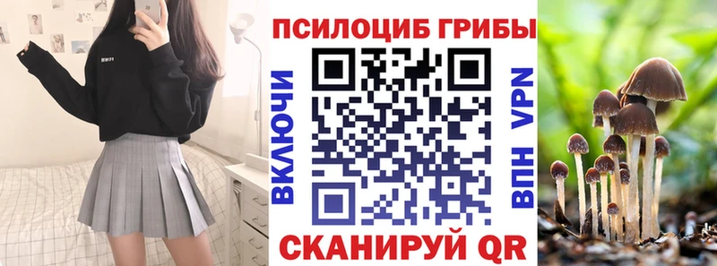Псилоцибиновые грибы Psilocybe  Темрюк 