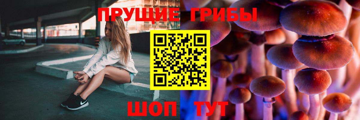 Галлюциногенные грибы прущие грибы  Вход с VPN  Псилоцибиновые грибы мухоморы  Темрюк 